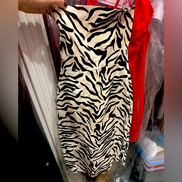 Super Woman: Zebra print. Leather dress.Zip back. - Picture 2 of 10